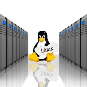 linux hosting