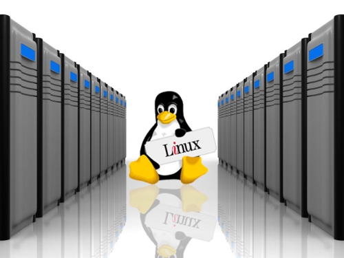 linux hosting