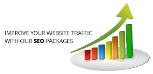 SEO Packages 