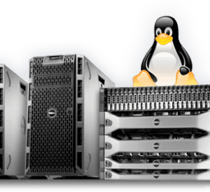 Linux Dedicated Server