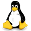 linux budget dedicated server 