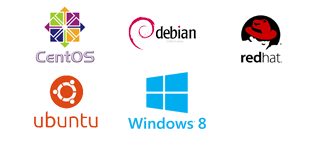 Linux Windows Virtual Private Server Hosting Pakistan