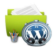 wordpress-website