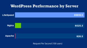 wordpress hosting on LiteSpeed in Pakistan